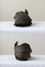 画像をギャラリービューアに読み込む, 美しさが在る