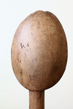 画像をギャラリービューアに読み込む, 二匹の蛙の寓話