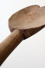 画像をギャラリービューアに読み込む, 二匹の蛙の寓話