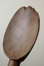 画像をギャラリービューアに読み込む, 二匹の蛙の寓話