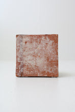 画像をギャラリービューアに読み込む, 獅子図タイル