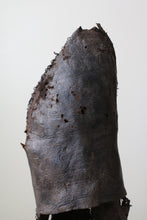 画像をギャラリービューアに読み込む, 美しさが在る