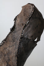 画像をギャラリービューアに読み込む, 美しさが在る