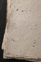 画像をギャラリービューアに読み込む, 表情豊かな粕入和紙(10)