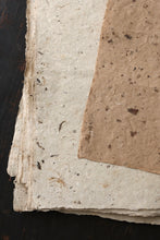 画像をギャラリービューアに読み込む, 表情豊かな粕入和紙(10)