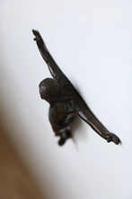 画像をギャラリービューアに読み込む, 勝利のキリスト