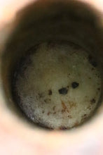 画像をギャラリービューアに読み込む, 基準のはなし。