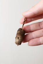 画像をギャラリービューアに読み込む, 不純物混ざる硝子