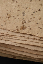 画像をギャラリービューアに読み込む, 表情豊かな粕入和紙 (10)