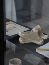 画像をギャラリービューアに読み込む, 三叉トチン(蘭)