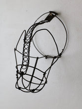 画像をギャラリービューアに読み込む, 中空に唸り声