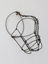 画像をギャラリービューアに読み込む, 中空に唸り声