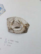 画像をギャラリービューアに読み込む, 三叉トチン(蘭)