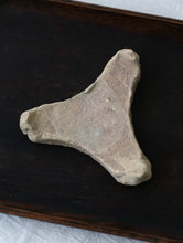 画像をギャラリービューアに読み込む, 三叉トチン(蘭)