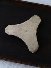 画像をギャラリービューアに読み込む, 三叉トチン(蘭)