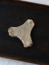 画像をギャラリービューアに読み込む, 三叉トチン(蘭)