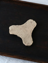 画像をギャラリービューアに読み込む, 三叉トチン(蘭)