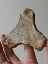 画像をギャラリービューアに読み込む, 三叉トチン(蘭)