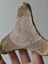 画像をギャラリービューアに読み込む, 三叉トチン(蘭)