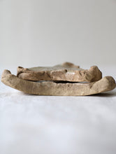 画像をギャラリービューアに読み込む, 三叉トチン(蘭)