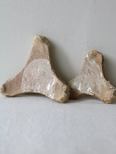 画像をギャラリービューアに読み込む, 三叉トチン(蘭)