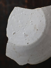 画像をギャラリービューアに読み込む, 海獣の虜となる