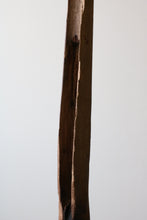 画像をギャラリービューアに読み込む, 二挺の空てっぽう