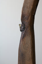 画像をギャラリービューアに読み込む, 二挺の空てっぽう