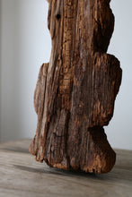 画像をギャラリービューアに読み込む, 自分に従え、と。