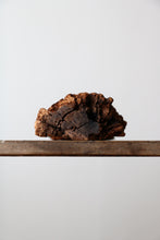 画像をギャラリービューアに読み込む, 自分に従え、と。