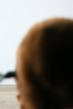 画像をギャラリービューアに読み込む, おちこちぐま