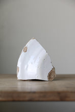 画像をギャラリービューアに読み込む, 青の果物