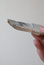 画像をギャラリービューアに読み込む, 青の果物