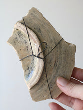 画像をギャラリービューアに読み込む, 花鳥虫図 残欠