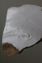 画像をギャラリービューアに読み込む, 青の果物