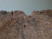 画像をギャラリービューアに読み込む, 木の家