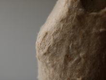 画像をギャラリービューアに読み込む, 冬毛を纏う