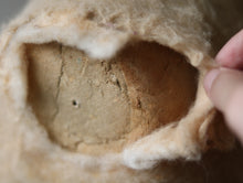 画像をギャラリービューアに読み込む, 冬毛を纏う