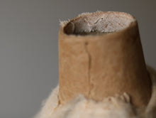 画像をギャラリービューアに読み込む, 冬毛を纏う