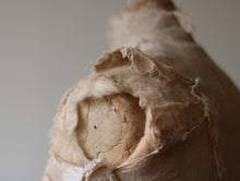 画像をギャラリービューアに読み込む, 冬毛を纏う