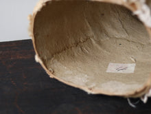 画像をギャラリービューアに読み込む, 冬毛を纏う