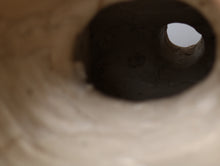 画像をギャラリービューアに読み込む, 冬毛を纏う