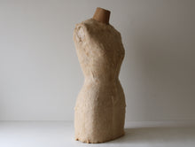 画像をギャラリービューアに読み込む, 冬毛を纏う