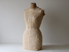 画像をギャラリービューアに読み込む, 冬毛を纏う