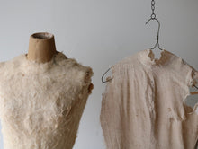 画像をギャラリービューアに読み込む, 冬毛を纏う