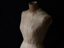 画像をギャラリービューアに読み込む, 冬毛を纏う