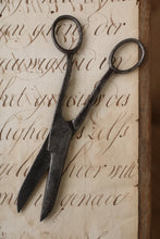 画像をギャラリービューアに読み込む, Scissors