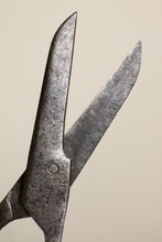 画像をギャラリービューアに読み込む, Scissors