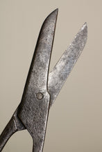 画像をギャラリービューアに読み込む, Scissors