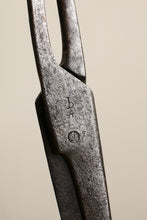 画像をギャラリービューアに読み込む, Scissors